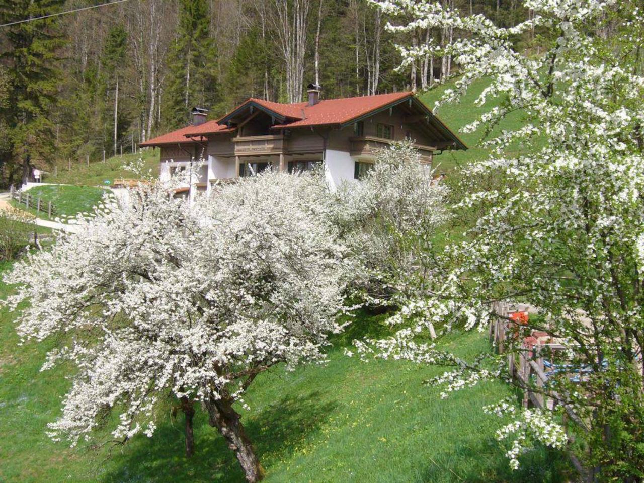 Haus Eicher Schneizlreuth Exteriér fotografie